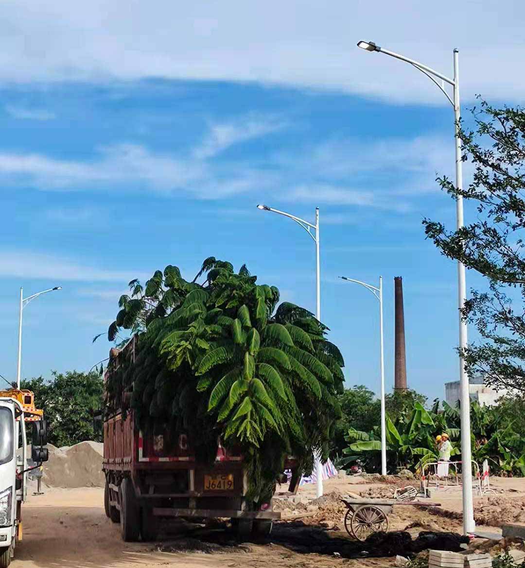 乐动在线注册,乐动(中国)助力东莞洪梅万科星城道路亮化工程